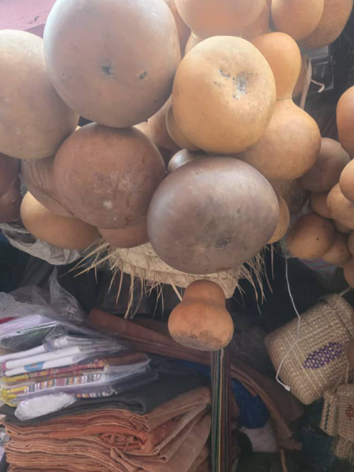 Natural Calabash Gourds