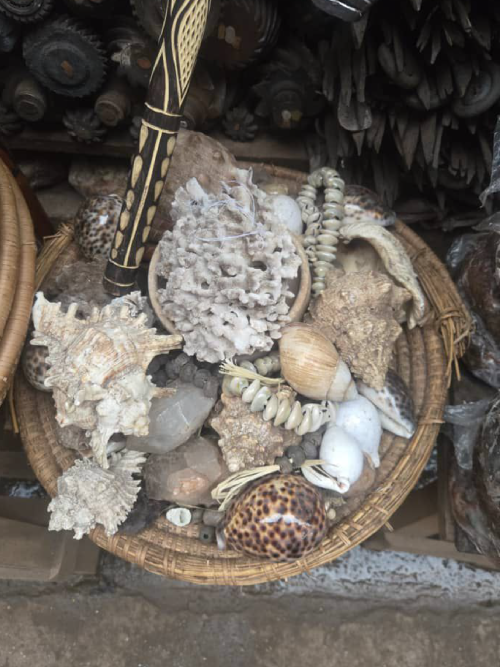 Sea & Shell Divination Basket