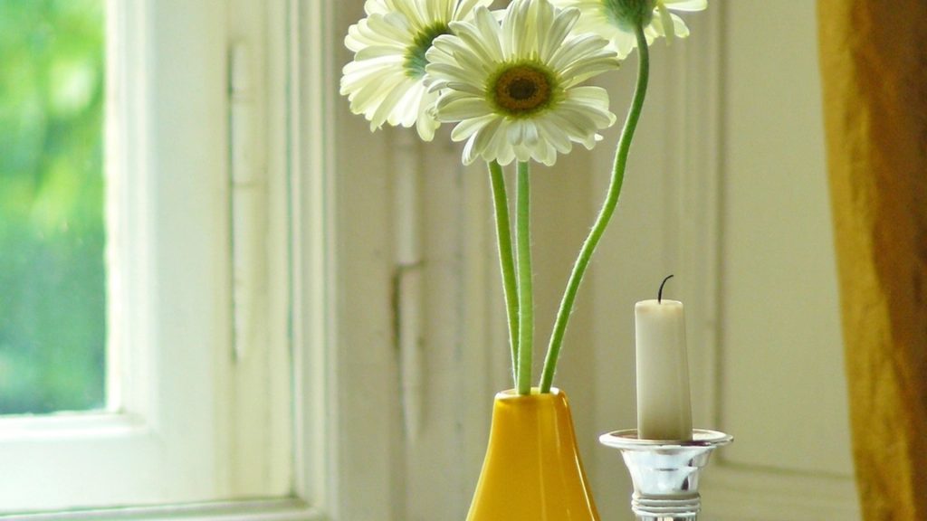 Ancestor Altar Ideas for Prayer, Gratitude, and Connection