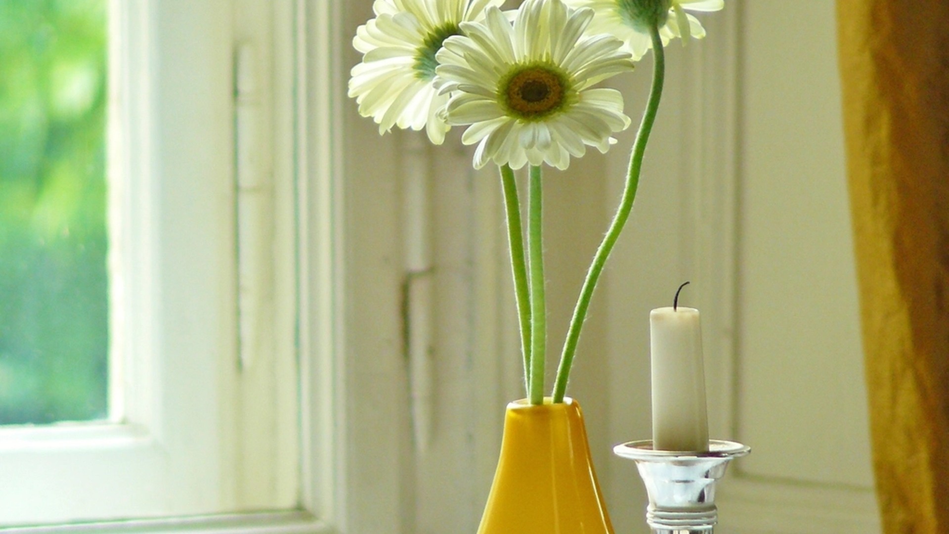 Ancestor Altar Ideas for Prayer, Gratitude, and Connection